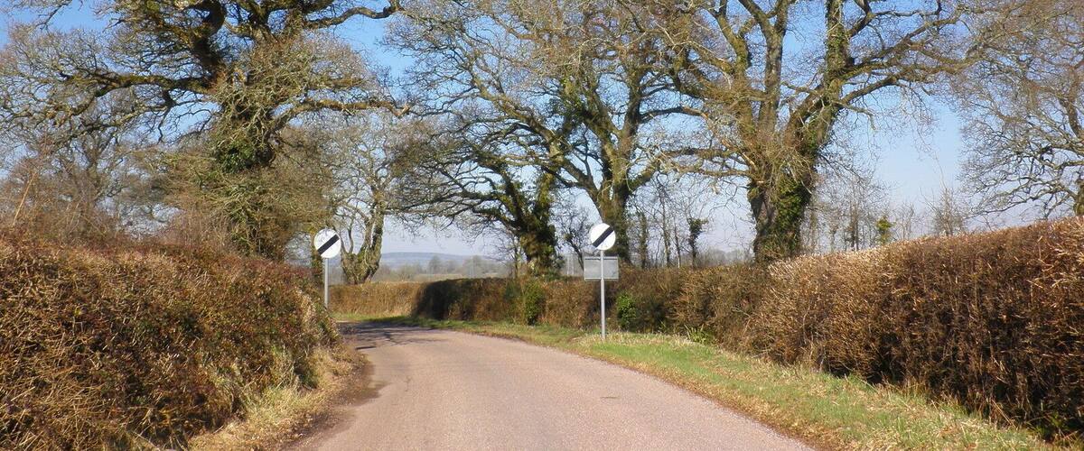 A rural road flanked by leafless trees and hedgerows under a clear blue sky.