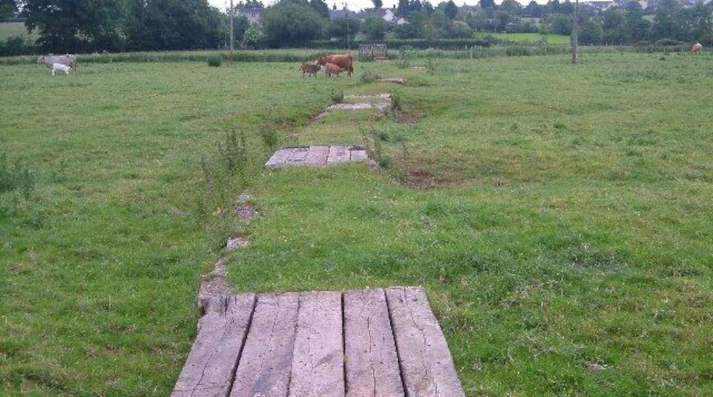 Footpath across meadow near Broadclyst. Looking east across the meadows of the infant River Clyst; visible in background are the houses of Broadclyst. Old railway sleepers (?) provide a causeway.