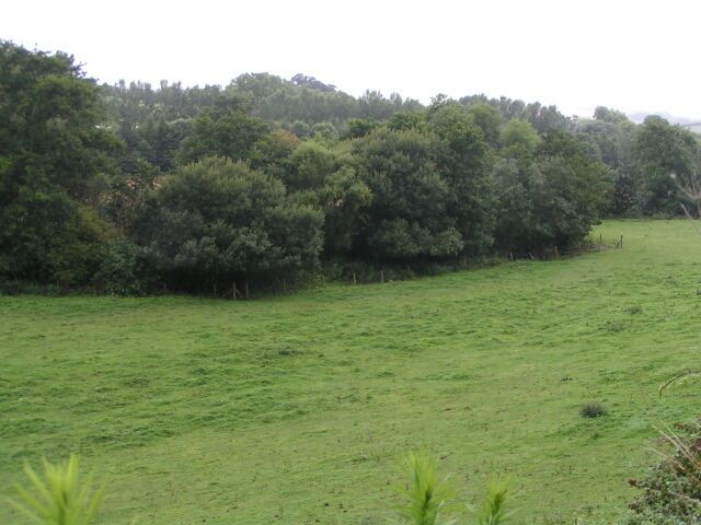 Valley below Balls Farm Road