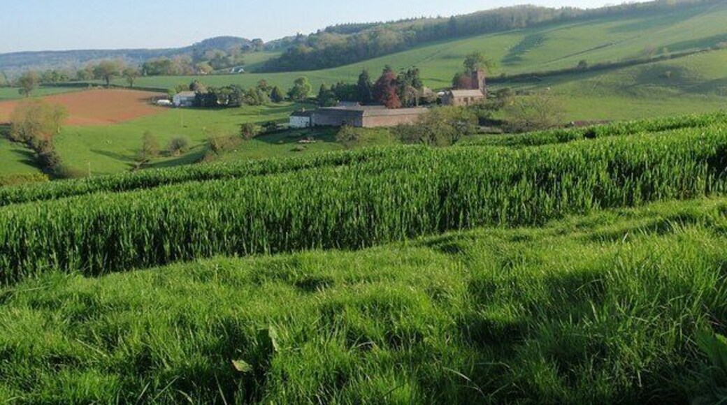 View over Dunchideock A wide angle view of the scene shown in 798758, taken from the same spot.
