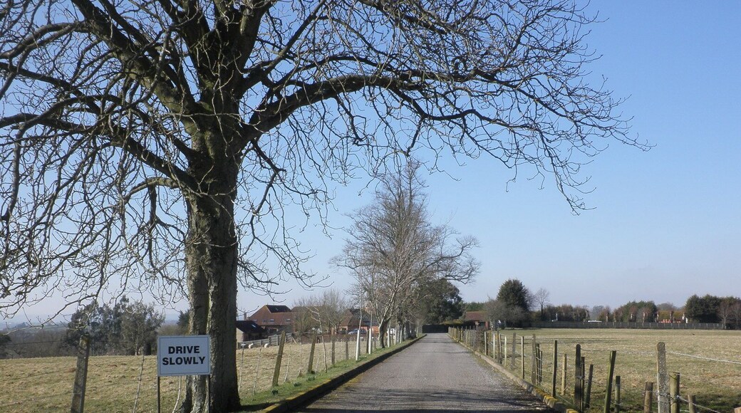 Drive, to Grange Cottages