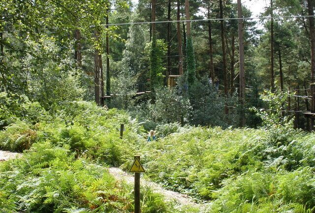 'Going Ape' adventure course, Haldon Forest Park