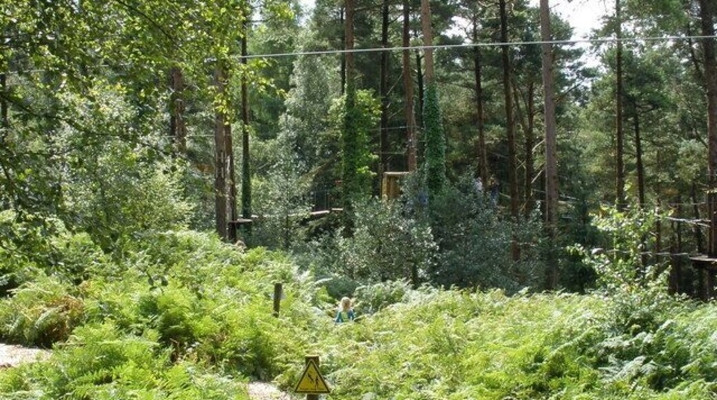 'Going Ape' adventure course, Haldon Forest Park