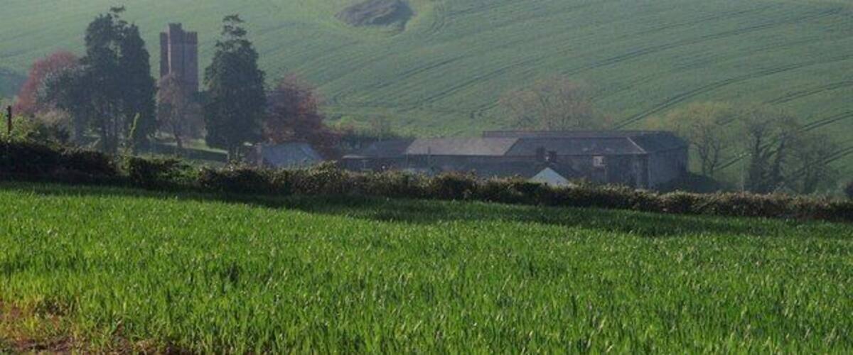 A green field with a building and trees in the background.