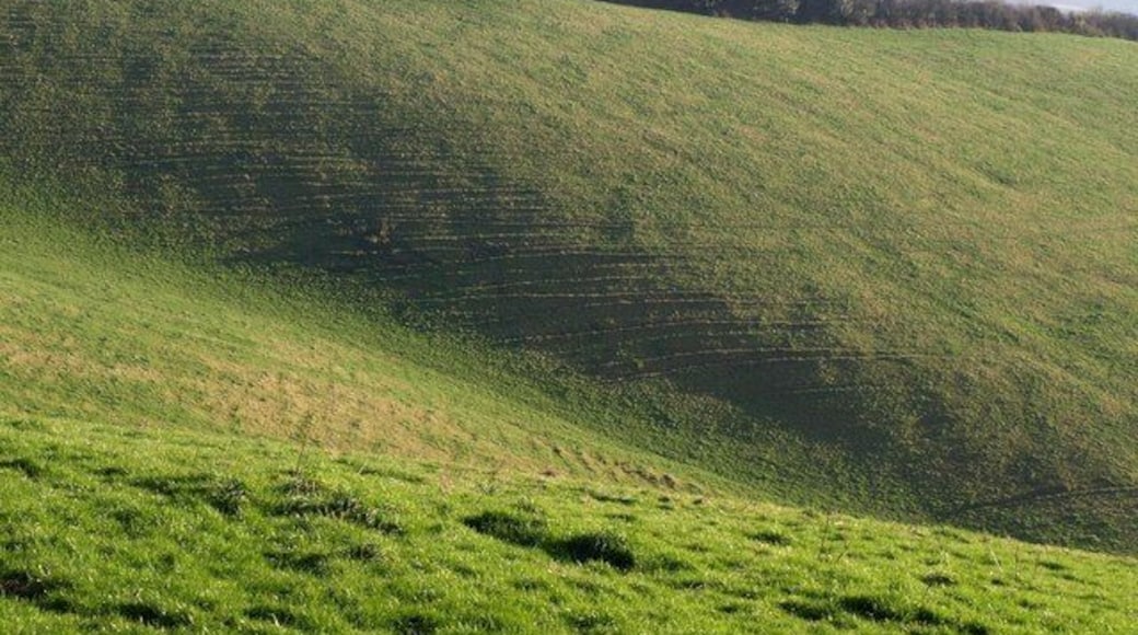 Terracettes below Windy Cross. The slopes above the source of Batt's Brook; a view to the left of 690553, taken from the same spot.