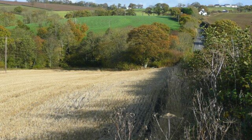 View parallel to the old A30 Looking east from Crockernwell towards Cheriton Cross. The stream in the valley flows south to join the Teign.