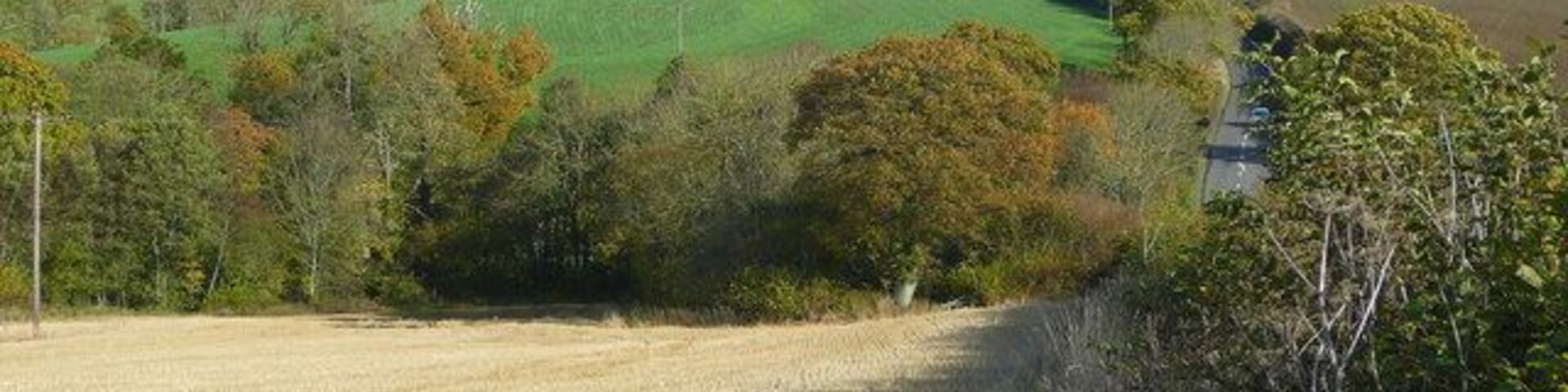 Paisagem rural com colinas ondulantes, campos e árvores dispersas.