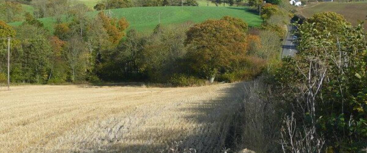 A rural landscape with rolling hills, fields, and scattered trees.