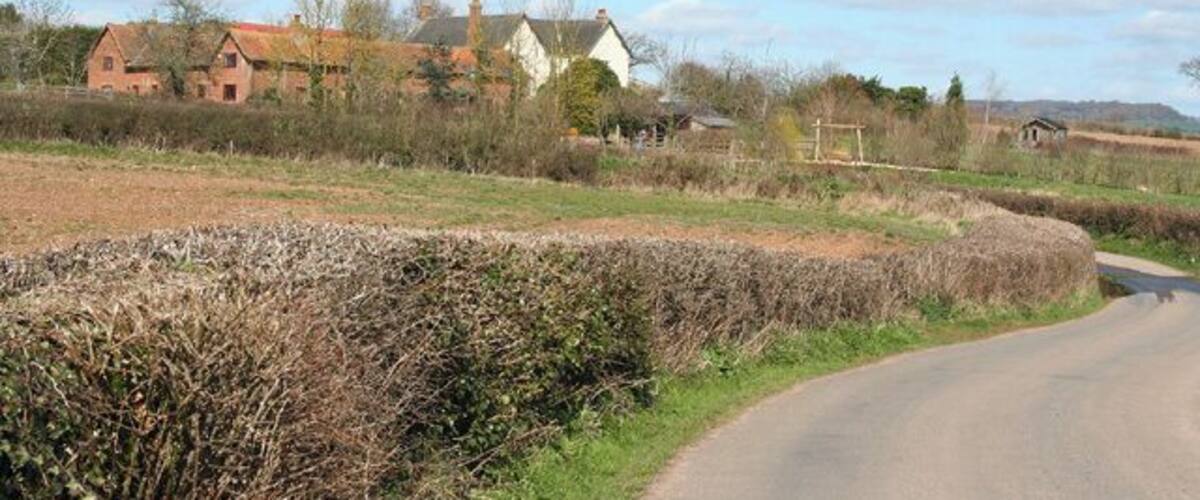 A rural road curving through fields with houses in the background.