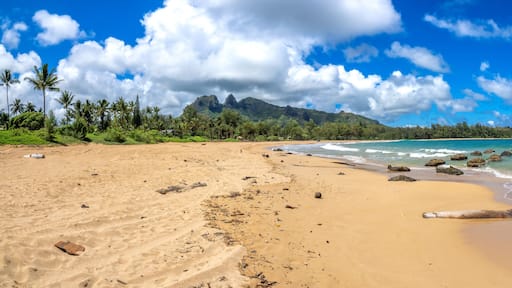 Panoramic view of Anahola Beach in the north coast of Kaua'i, with the iconic Kalalea mountain range in the background, Hawaii, USA