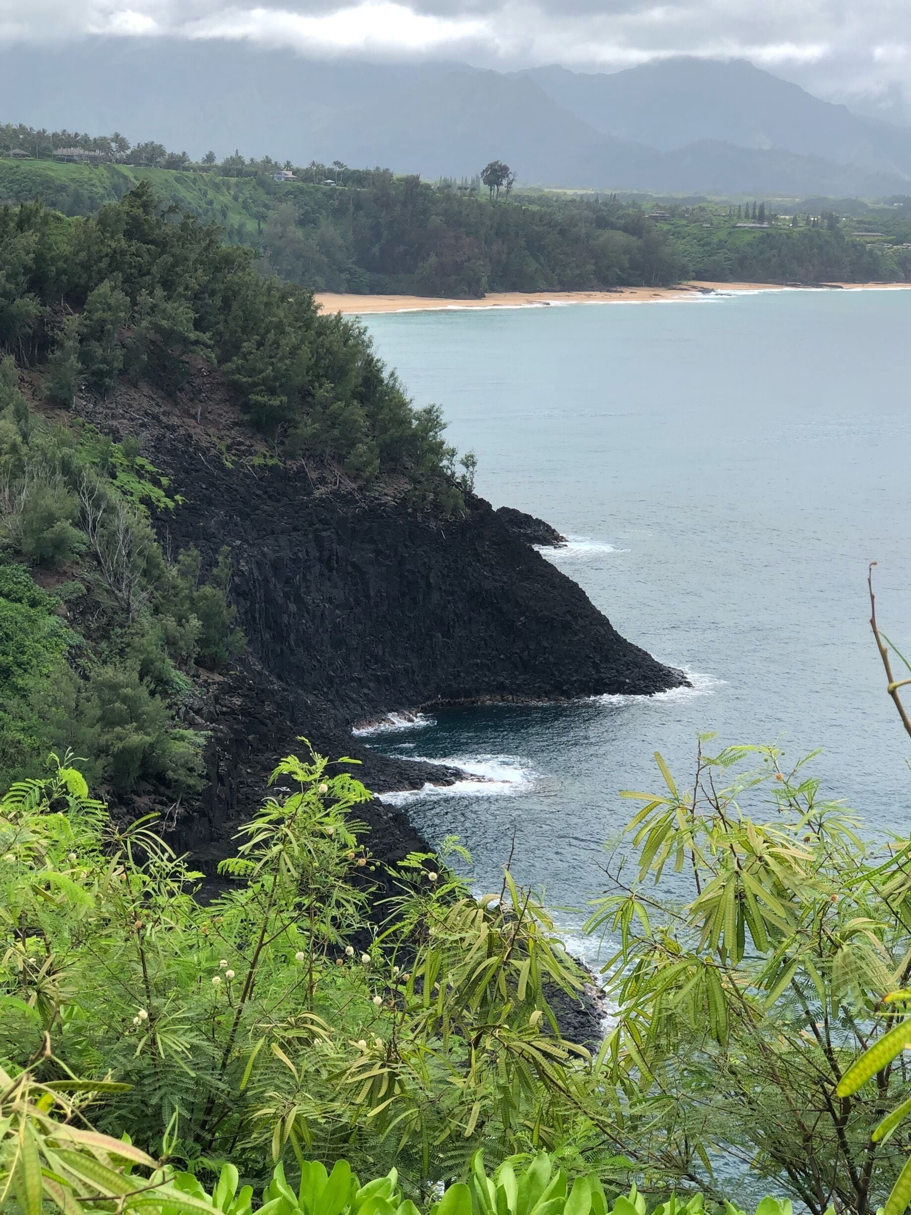 A coastal landscape with a rocky cliff, dense greenery, and a beach.