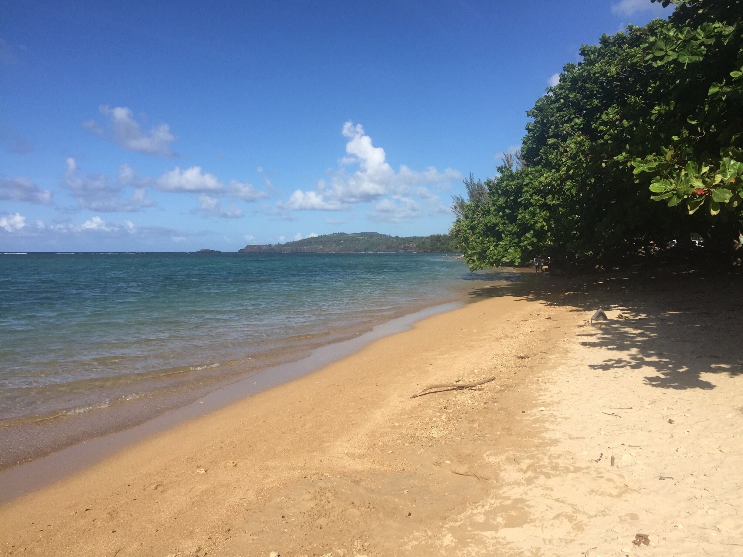 Anini Beach. Very neat place to swim and snorkel. 