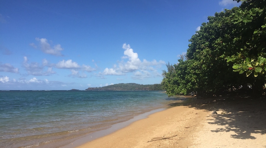 Anini Beach. Very neat place to swim and snorkel.