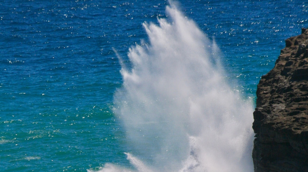 While visiting the Kilauea Point lighthouse, the ocean was making a loud "boom" across the bay to the west. The waves were crashing against the cliff and repeatedly splashing 40 feet high from small ocean swells. This was the only location the splashes were occurring.
At Kilauea Point, one can view the Lighthouse, hundreds of Albatrosses, and the Kauai bird Nene.