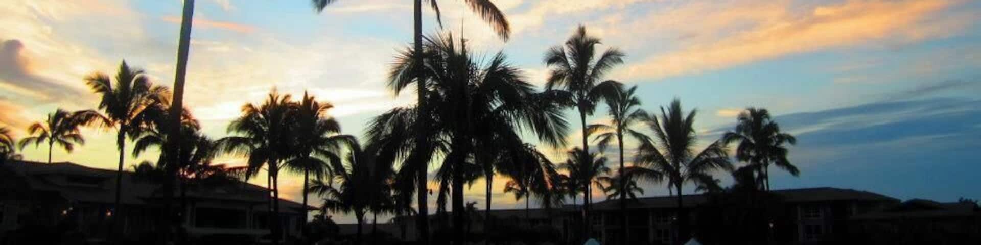 Palm trees and a cotton candy sky. #EndlessSummer
