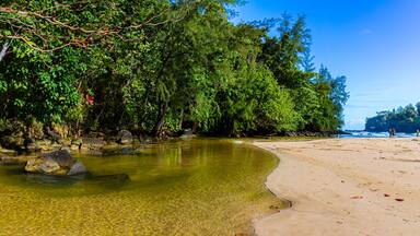 Ein klarer Fluss mündet in einen Sandstrand, umgeben von dichtem Grün und Felsformationen.