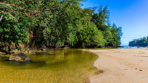 Kalihiwai