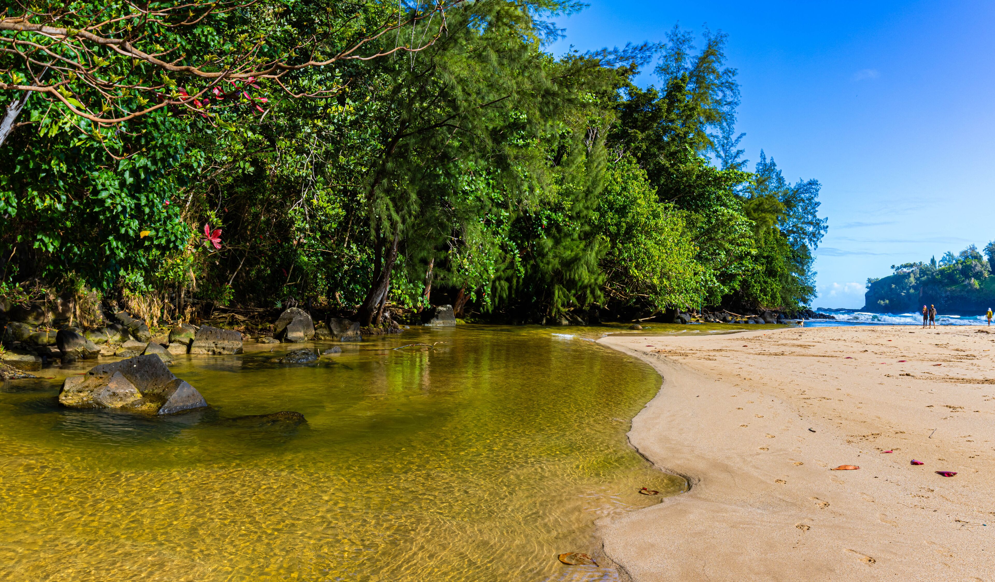 A clear river flowing into a sandy beach, surrounded by dense green foliage and rocky outcrops.