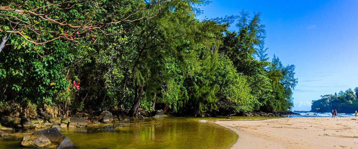 A clear river flowing into a sandy beach, surrounded by dense green foliage and rocky outcrops.