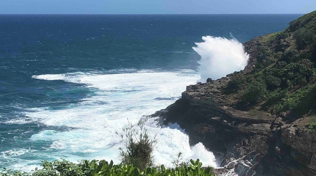 Rough surf near Kīlauea HI