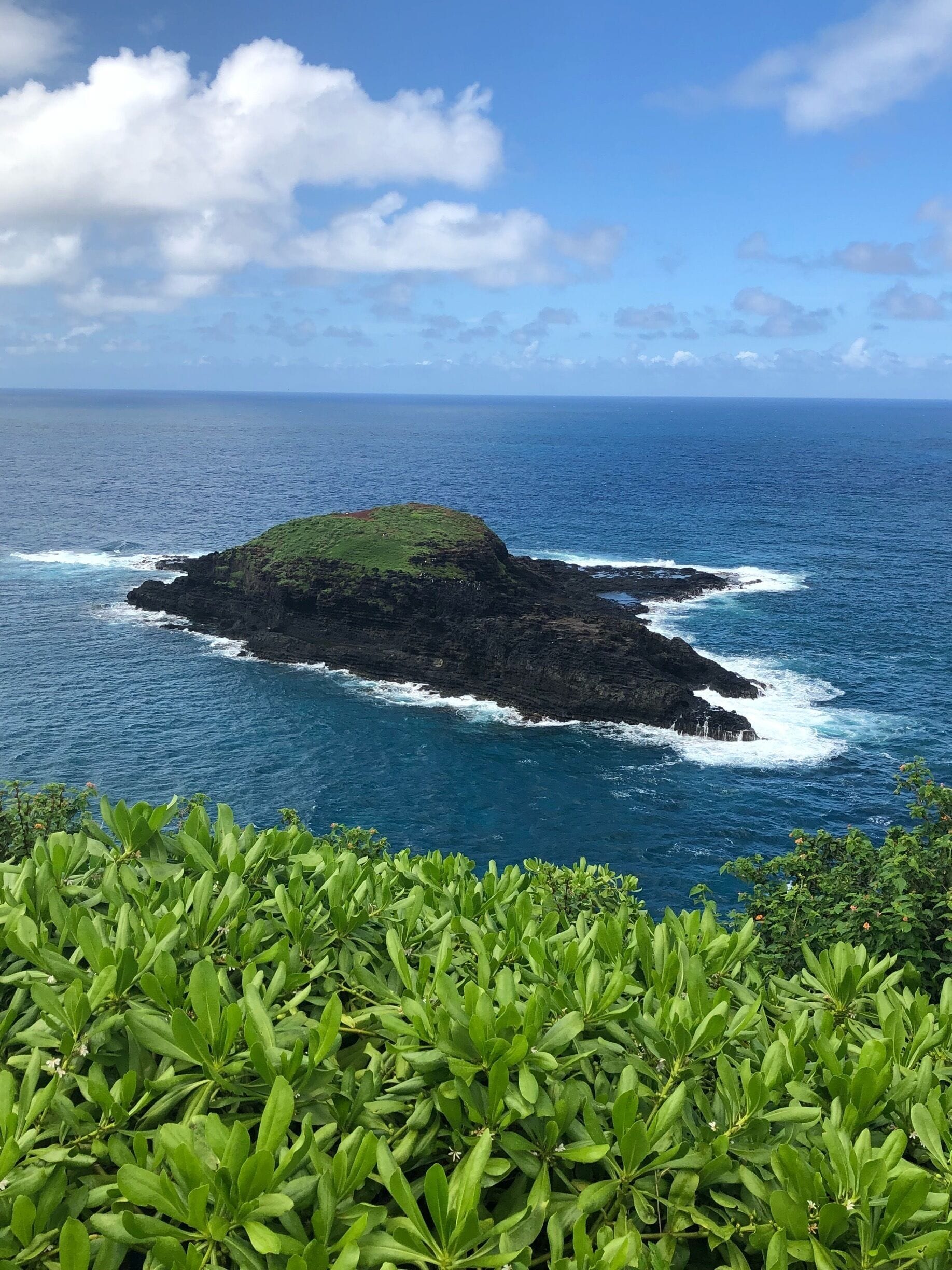A rocky island surrounded by ocean waves, with lush green foliage in the foreground.