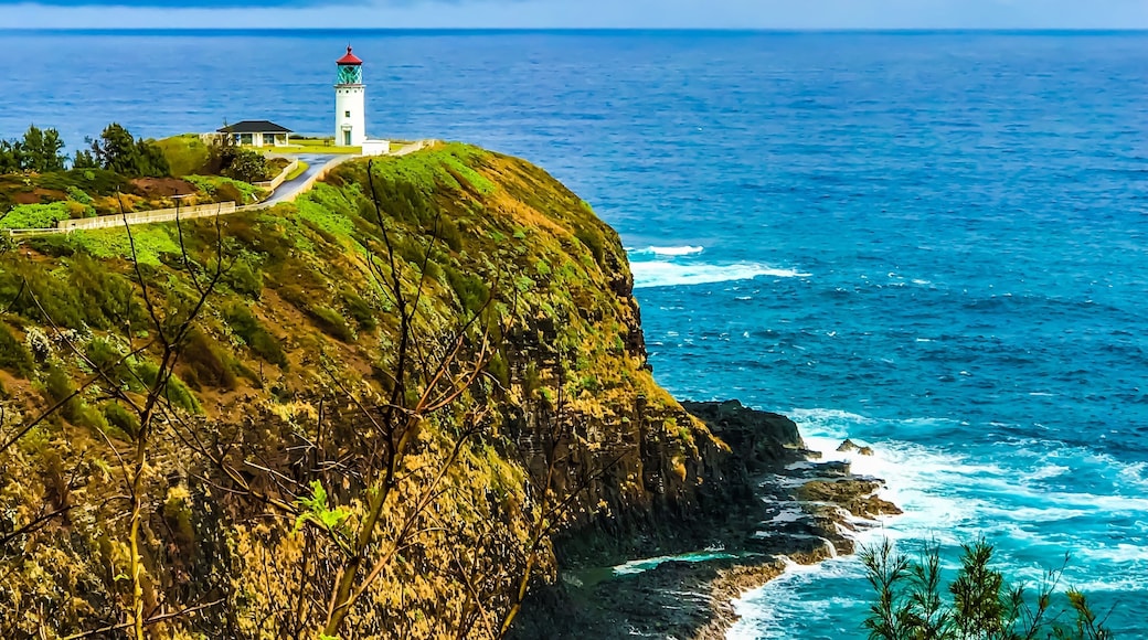 The Kīlauea Lighthouse Park is a beautiful place to visit, as long as you’re not there on a Sunday! We could only view it from afar. #kauai