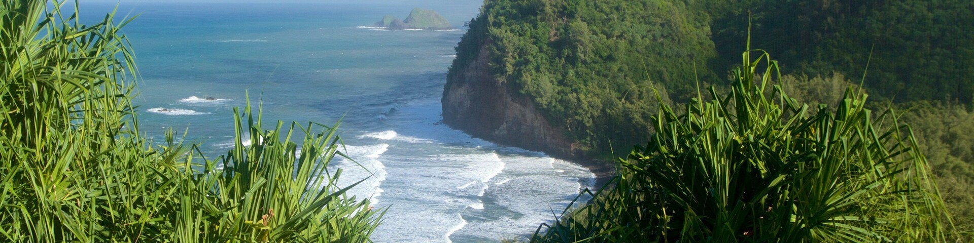 Kapaau mostrando vista general a la costa