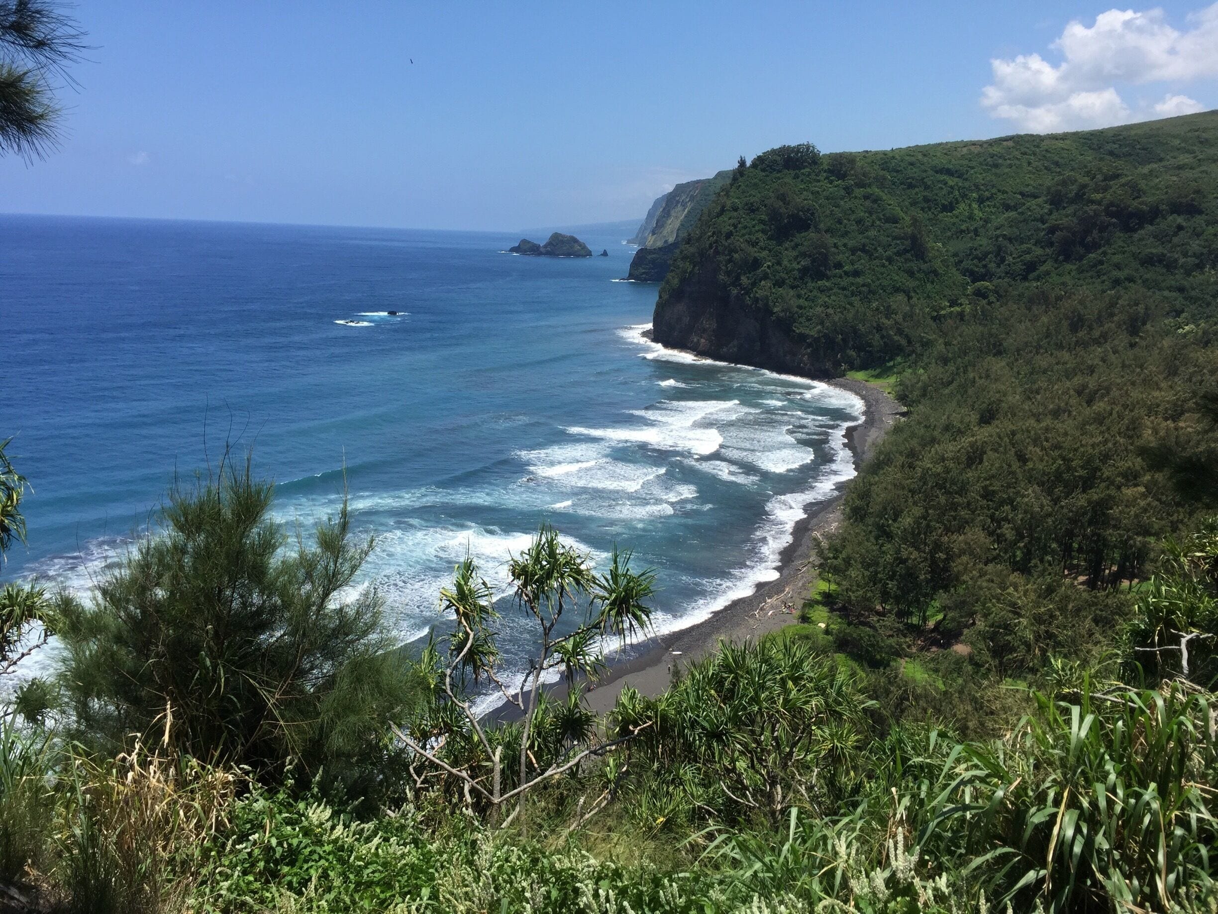 A coastal landscape with a beach, ocean waves, and lush greenery.
