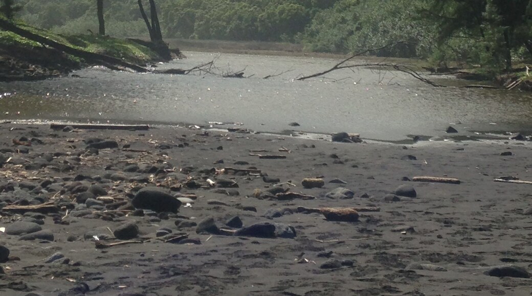 #adventure #hawaii #lovetohike #luv2travel #borntowander #wanderingwidower