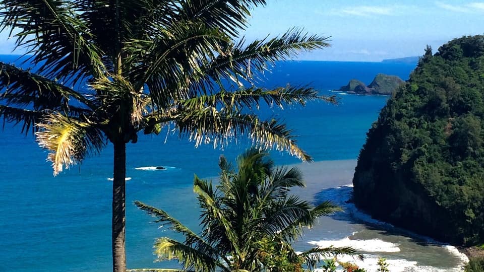 A palm tree, ocean waves, and a cliff.