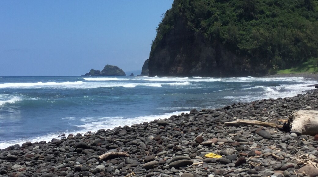 A beautiful black sand beach where Kamehameha played in his youth. Easy trail down but wear shoes and take water.