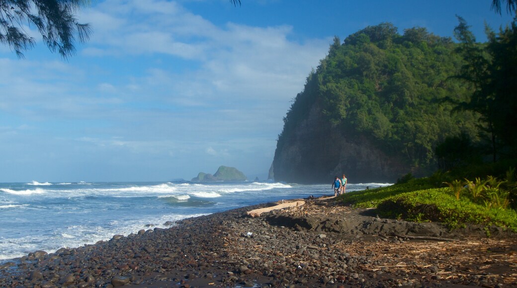Kapaau mostrando vistas de una costa