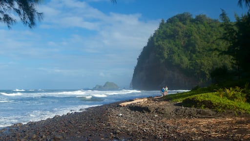 Kapaau showing general coastal views