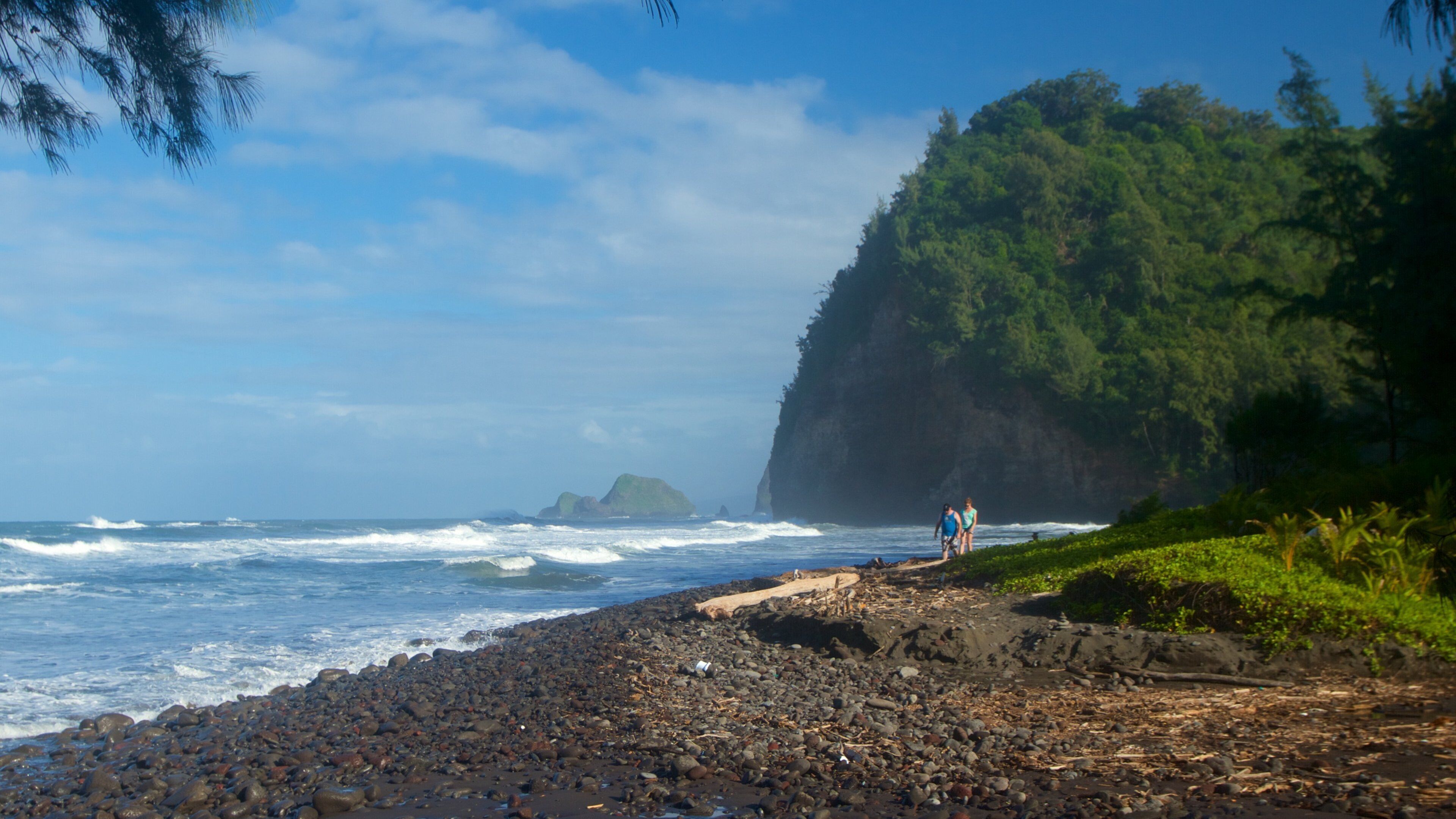 A rocky beach with waves crashing, a cliff with dense greenery, and two people walking.