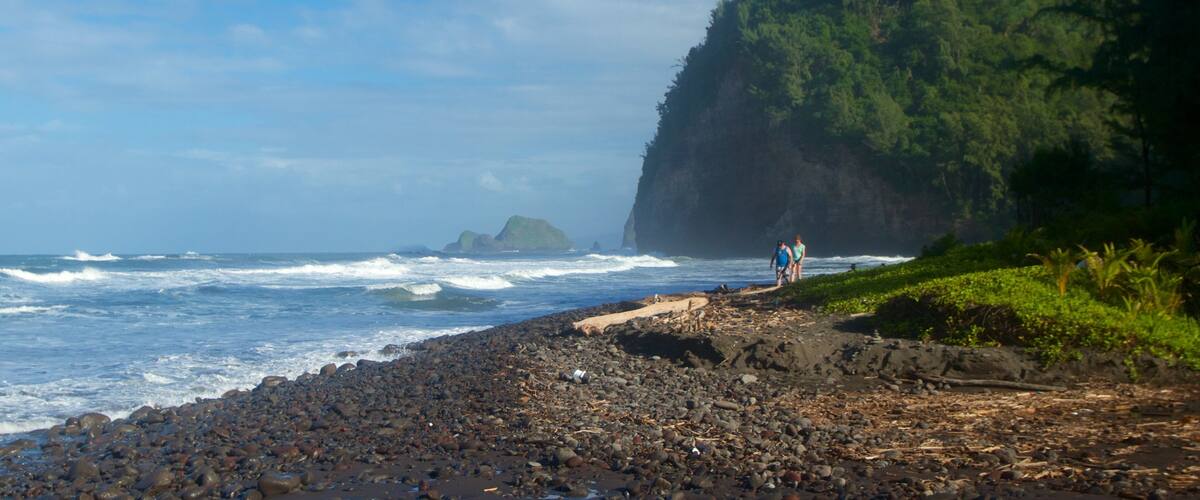 A rocky beach with waves crashing, a cliff with dense greenery, and two people walking.