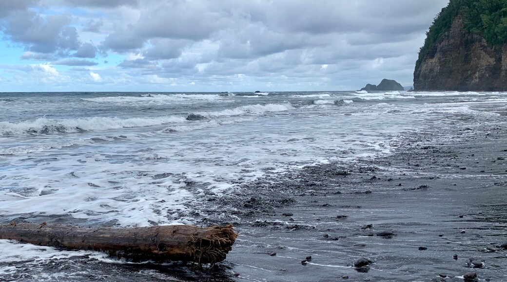 Beautiful black sand beach at the end of the Pololu Valley trail. There’s a slippery walk down to the valley from the overlook area... maybe 3/4 of a mile. Nice views on the way down, ending where the river meets the sea.
#BeachBound #Hiking #BigIsland #Hawaii #Blue