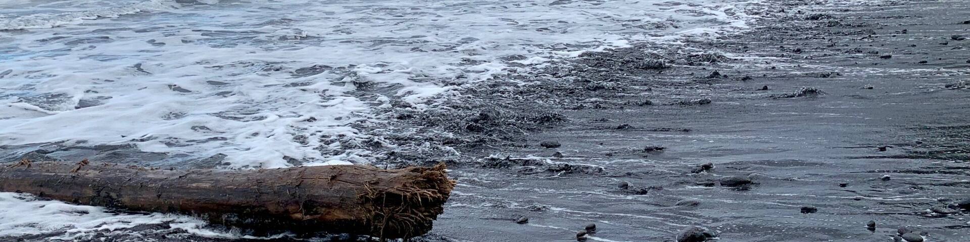 Beautiful black sand beach at the end of the Pololu Valley trail. There’s a slippery walk down to the valley from the overlook area... maybe 3/4 of a mile. Nice views on the way down, ending where the river meets the sea.
#BeachBound #Hiking #BigIsland #Hawaii #Blue