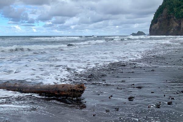 Beautiful black sand beach at the end of the Pololu Valley trail. There’s a slippery walk down to the valley from the overlook area... maybe 3/4 of a mile. Nice views on the way down, ending where the river meets the sea.
#BeachBound #Hiking #BigIsland #Hawaii #Blue