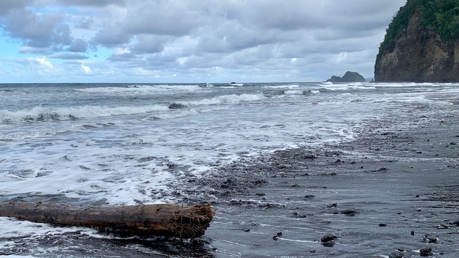 Beautiful black sand beach at the end of the Pololu Valley trail. There’s a slippery walk down to the valley from the overlook area... maybe 3/4 of a mile. Nice views on the way down, ending where the river meets the sea.
#BeachBound #Hiking #BigIsland #Hawaii #Blue