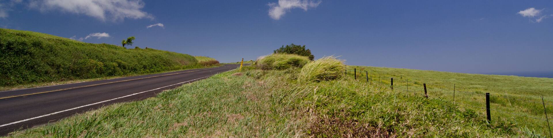 Kohala Mountain Highway between Hawi and Waimea