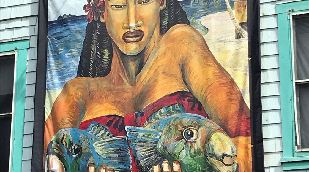 Not sure if this is actually Wishard Gallery, but it’s in the area. Visible driving north on Hawi Road, it caught my eye.