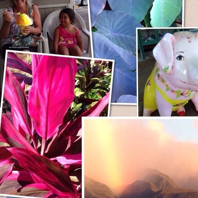 Some of my favorite Hawaii things