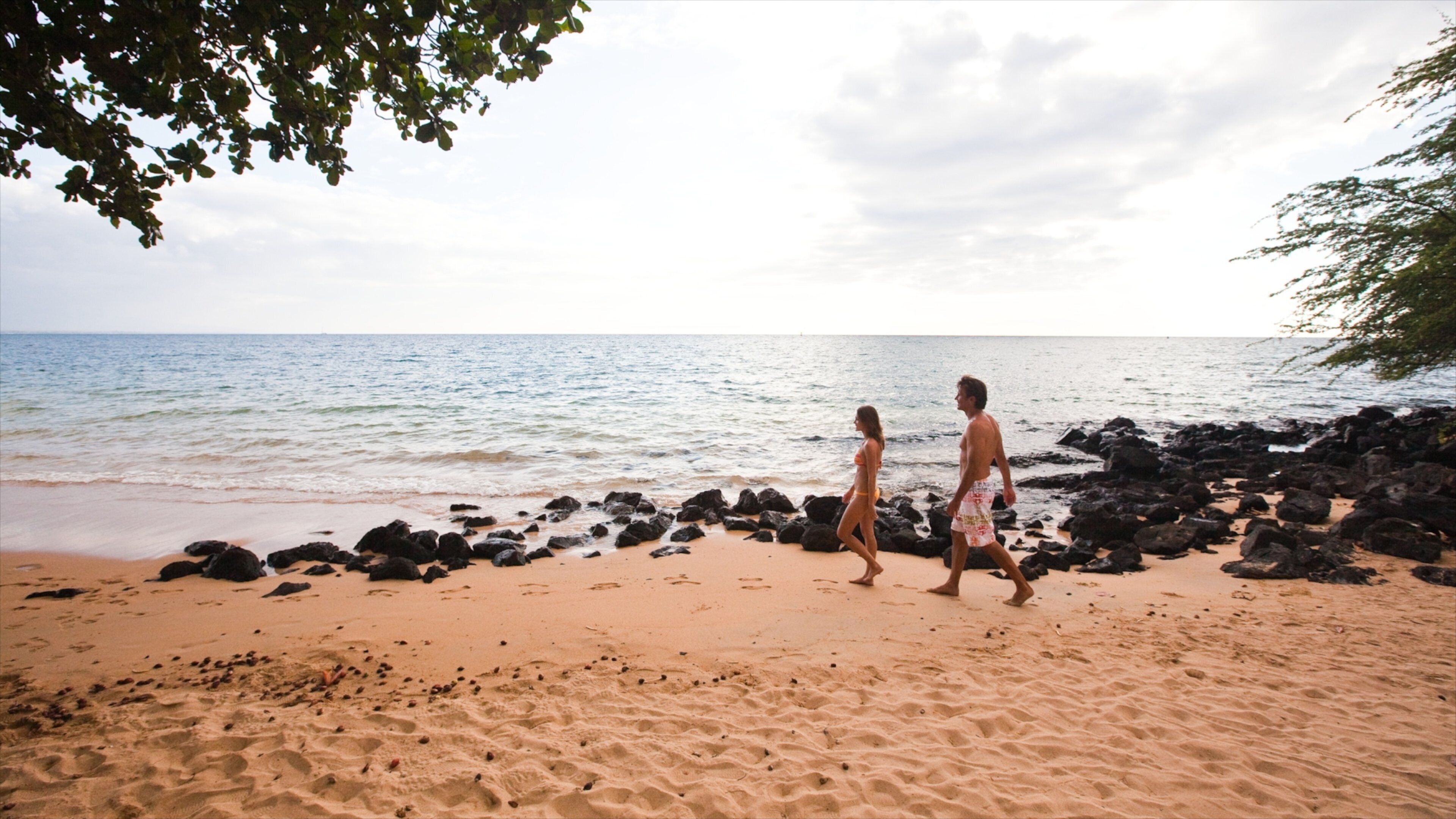 Kawaihae which includes a beach and rocky coastline as well as a couple