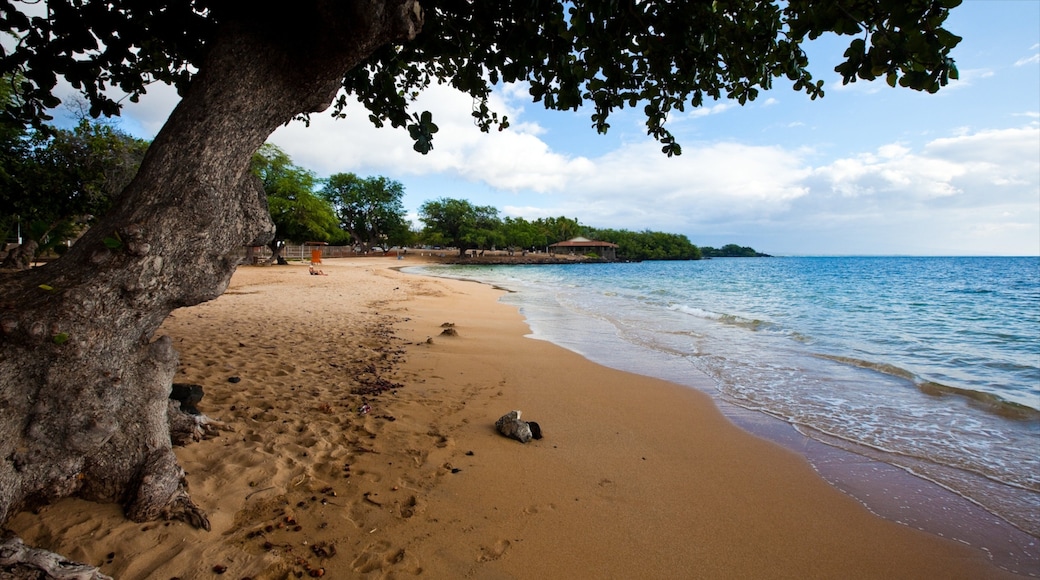 Kawaihae showing a beach