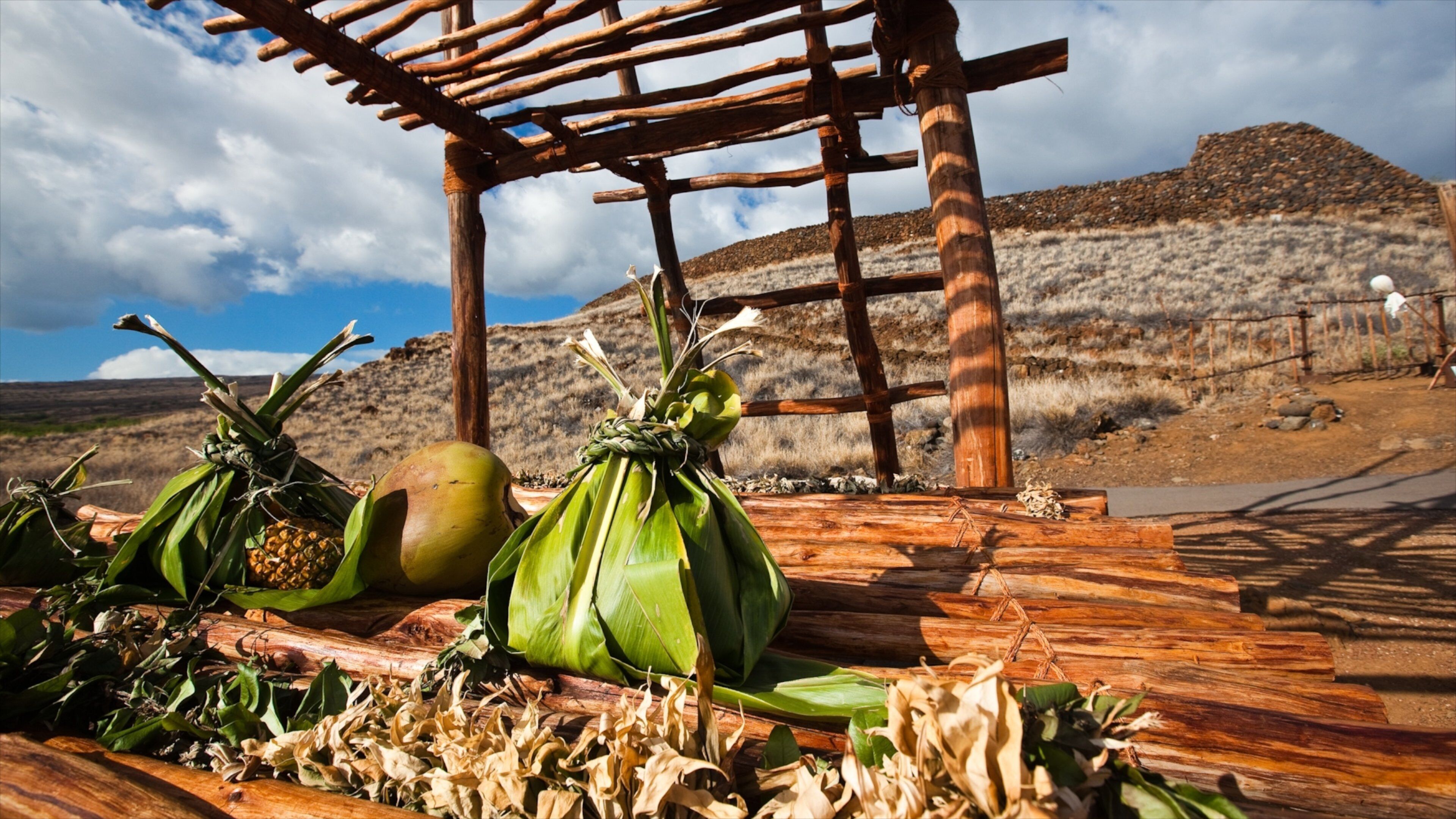 Kawaihae which includes desert views, food and indigenous culture