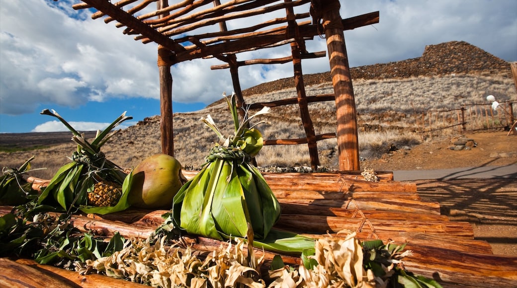 Kawaihae showing food, indigenous culture and desert views