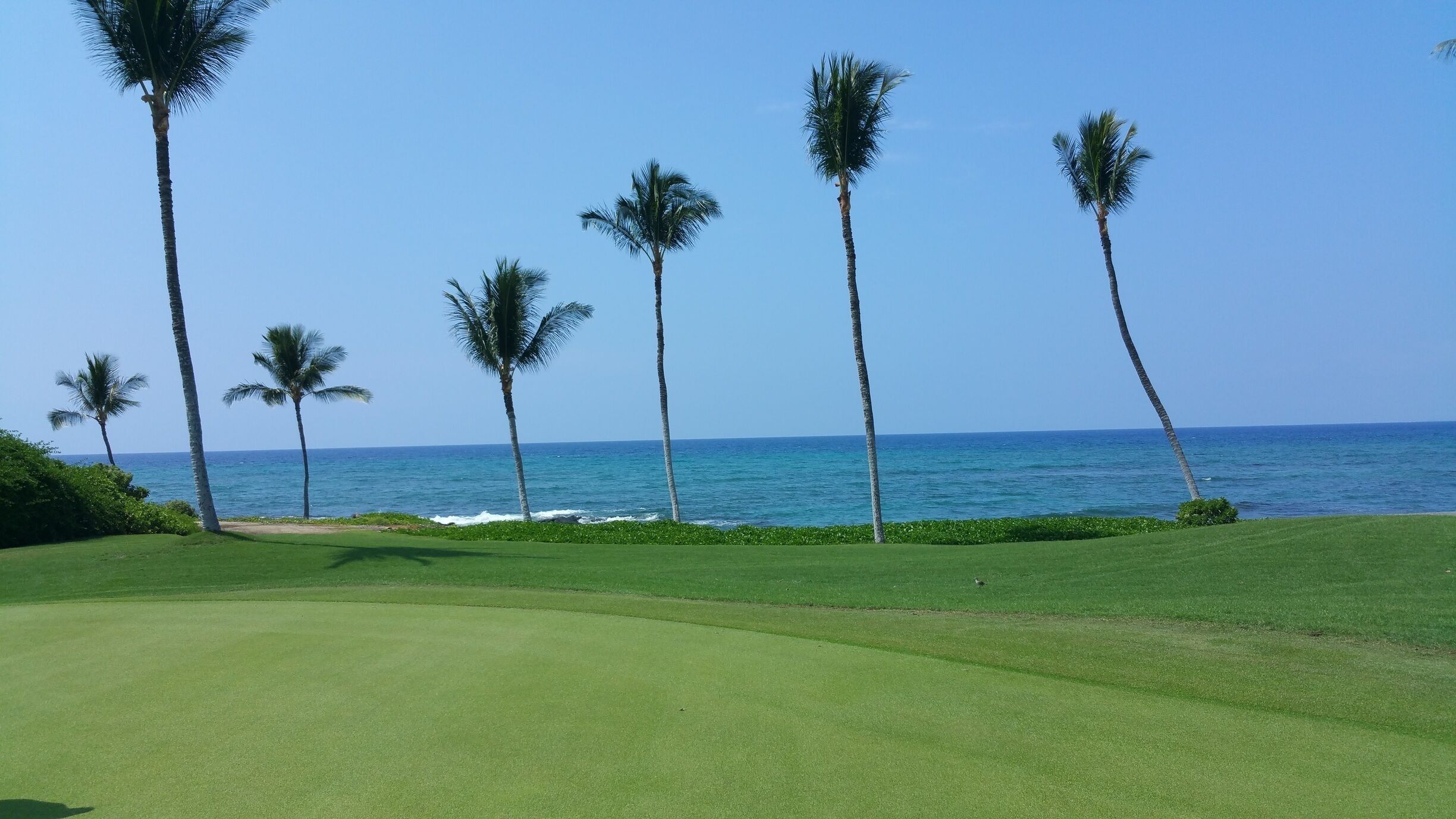 A great golf course! Play north or south, you will see endless beauty of ocean and stop by on 16 to take a peak at colourful fish and turtles. #hawaii 