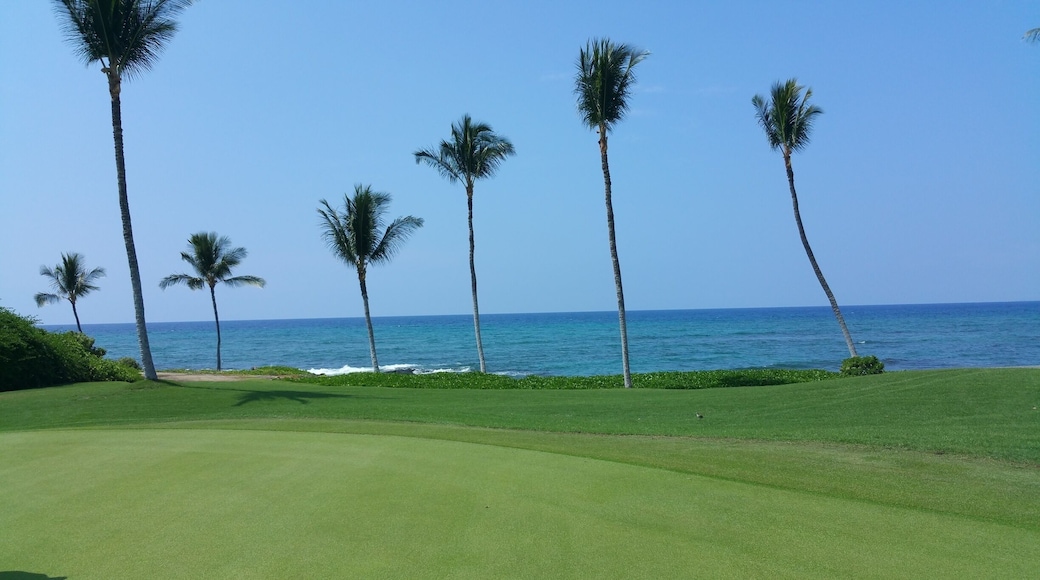 A great golf course! Play north or south, you will see endless beauty of ocean and stop by on 16 to take a peak at colourful fish and turtles. #hawaii