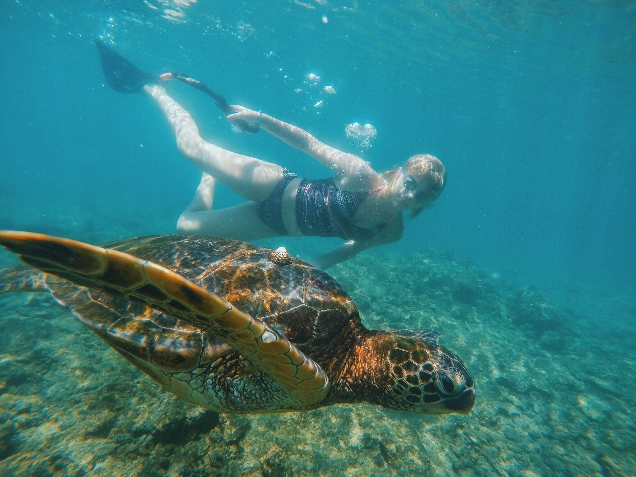 A diver swimming with a sea turtle underwater.