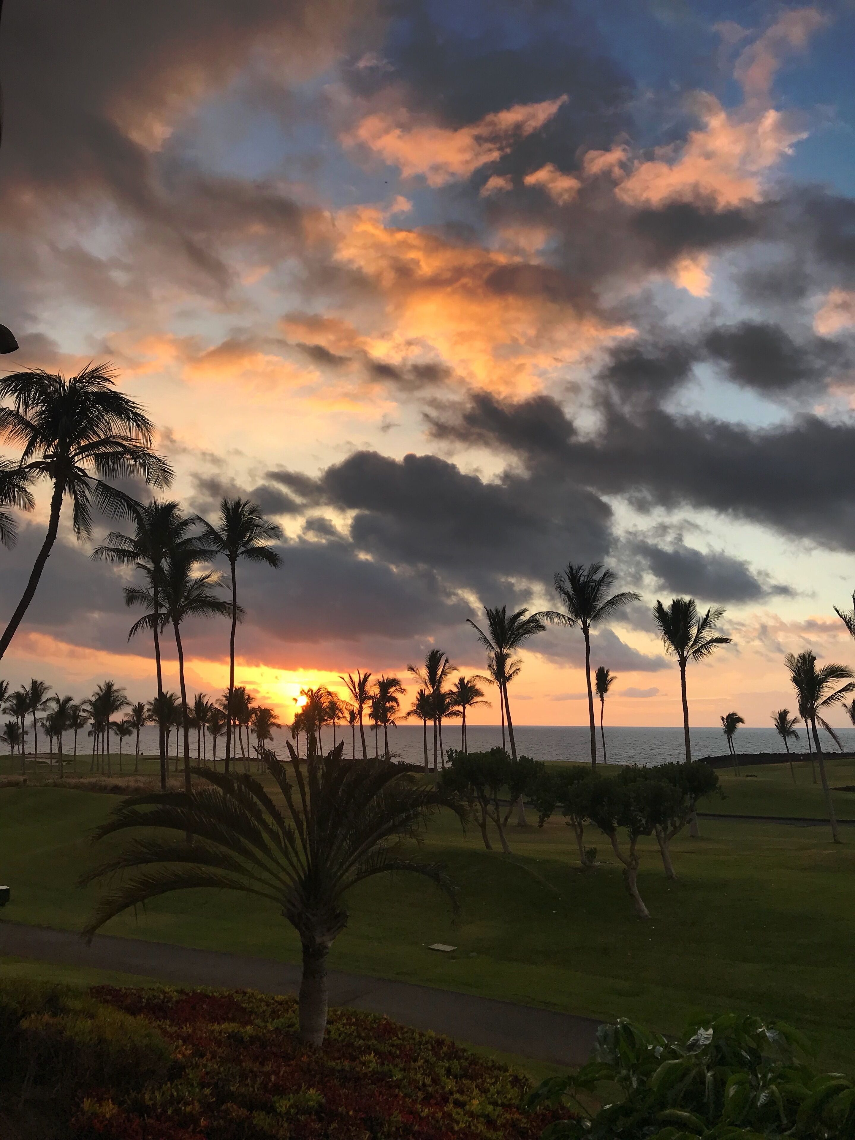 Waikoloa Beach Resort 

#Adventure